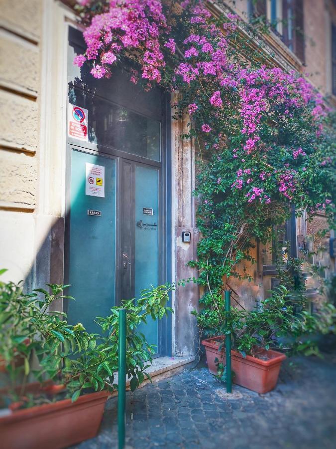 Trastevere Glasshouse Rom Exterior foto